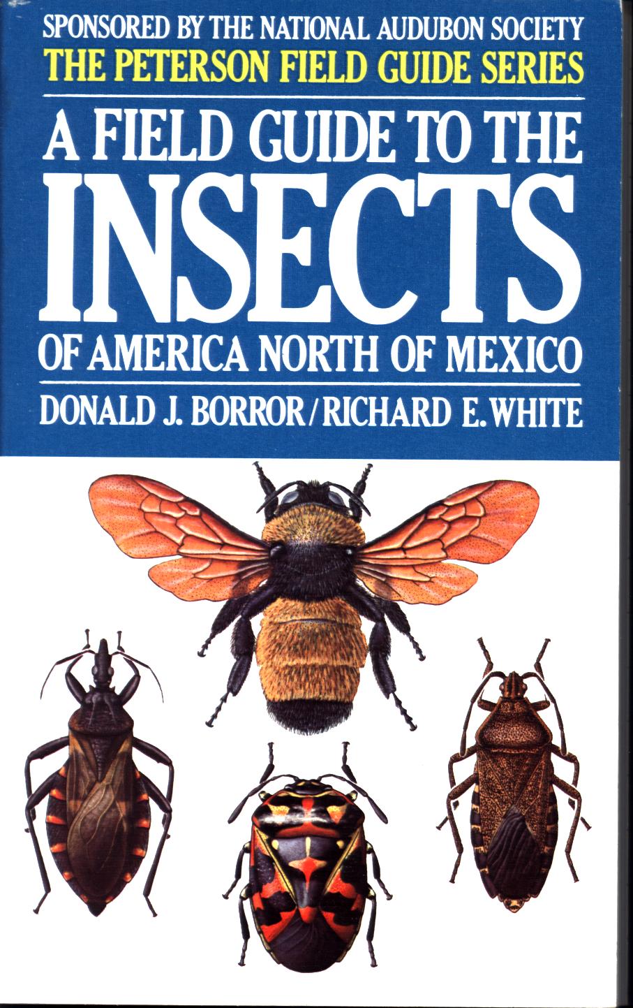 A FIELD GUIDE TO THE INSECTS OF AMERICA NORTH OF MEXICO. 